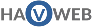 Logo Footer